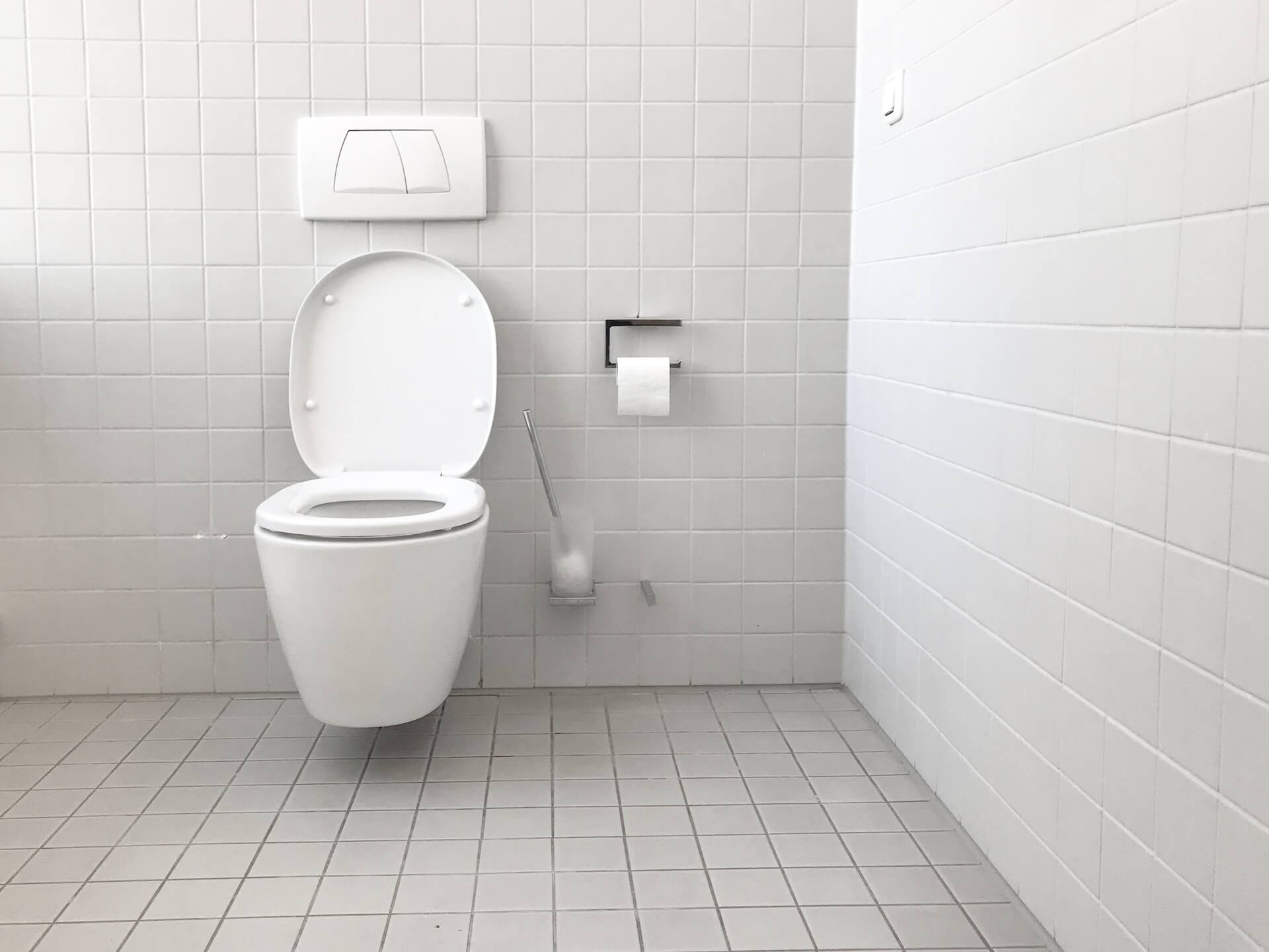 Things That Should Never Go Down the Bathroom Bowl image